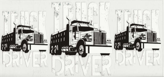 Occupation 54 - Truck Driver (3)