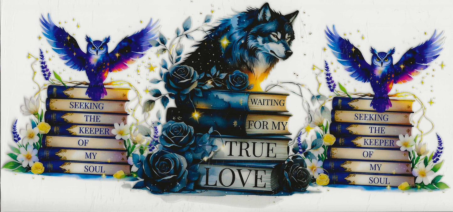 Occupation 30 - Reading (10) Waiting for my true love