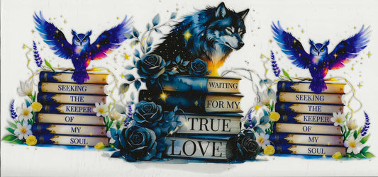 Occupation 30 - Reading (10) Waiting for my true love