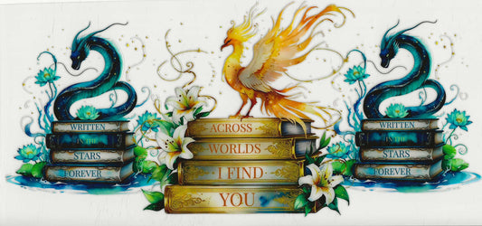 Occupation 30 - Reading (11) Across Worlds I Find You
